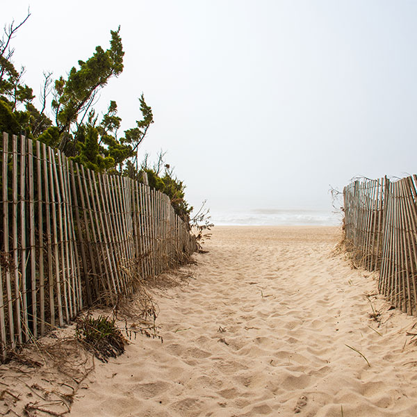photo of beach